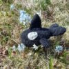 Orca