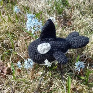Orca
