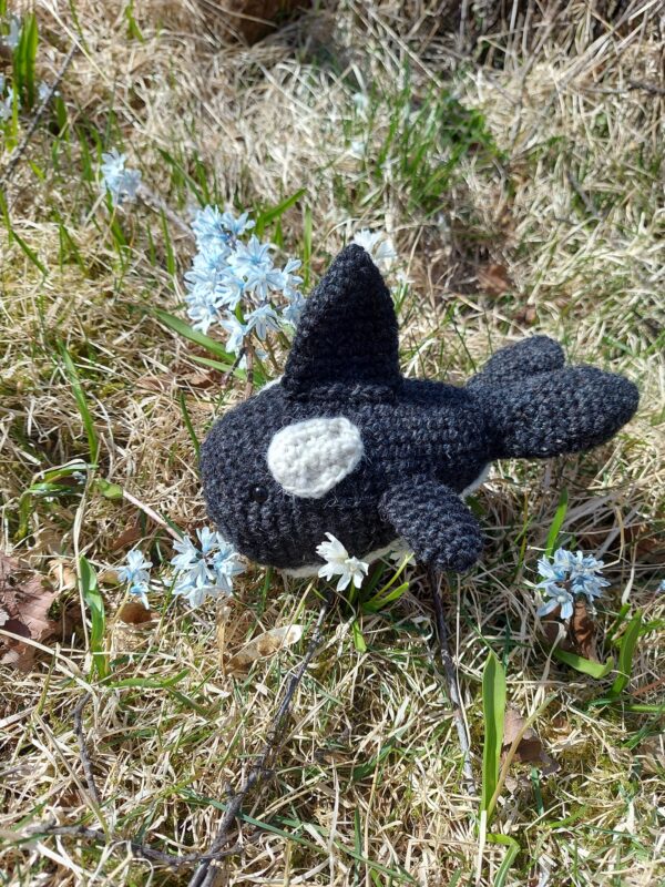 Orca