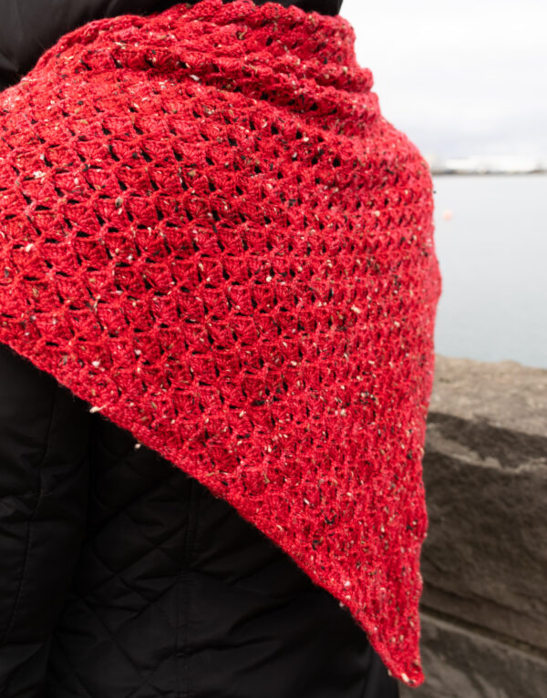 My voyage shawl - Image 2