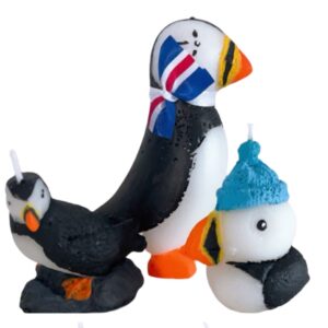 Little Puffin with a cap