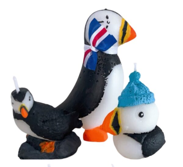 Little Puffin with a cap - Image 3