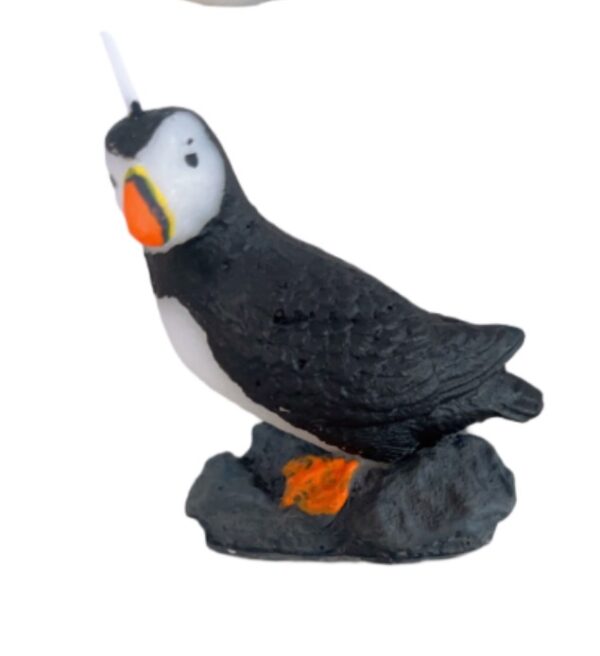 Little Puffin on a rock