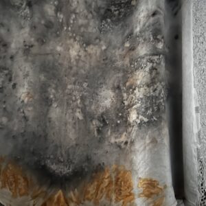 rust print silk top