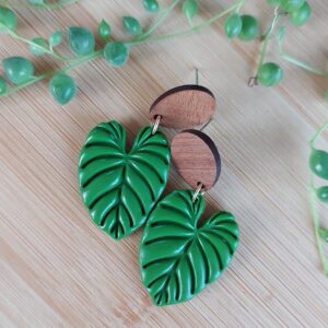 Grænt philodendron lauf