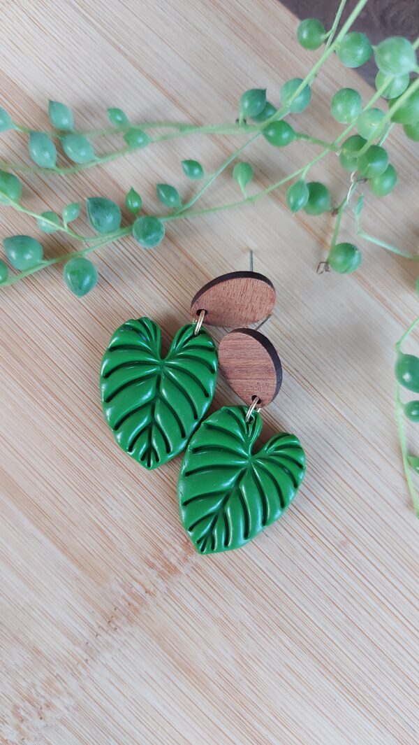 Grænt philodendron lauf